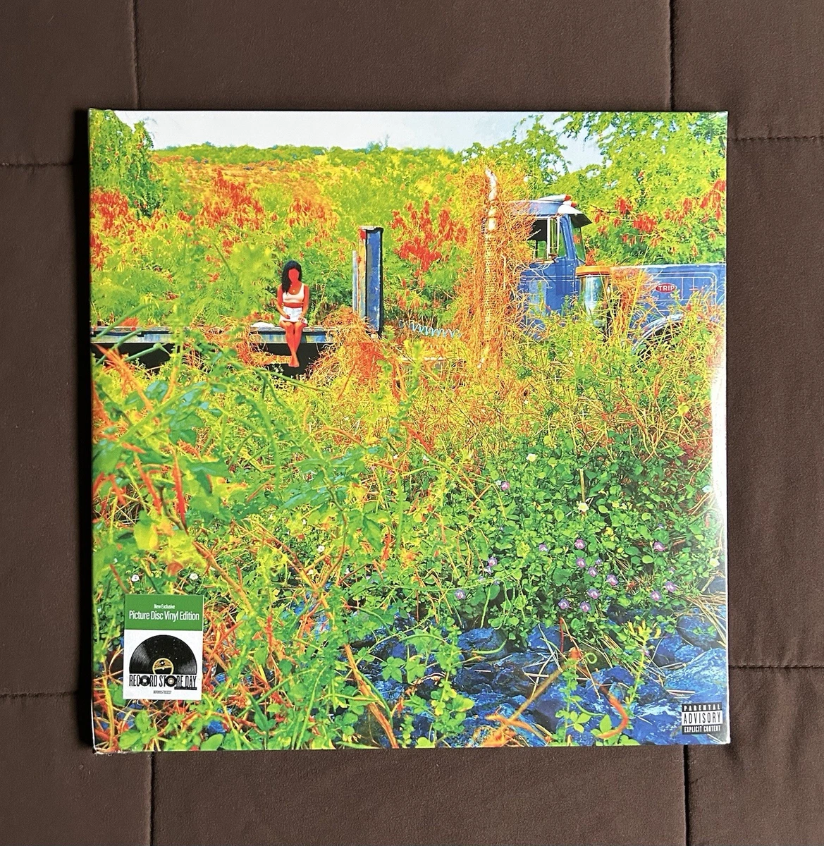 Picture Disc Double LP Vinyl Records for sale | eBay