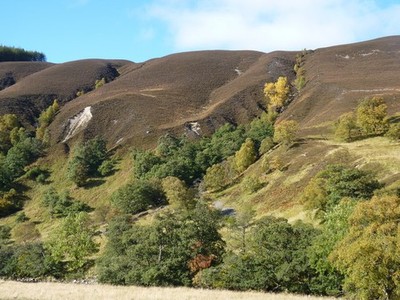 Photo A2 An interesting contrast between the heather and the autumn colo c2012