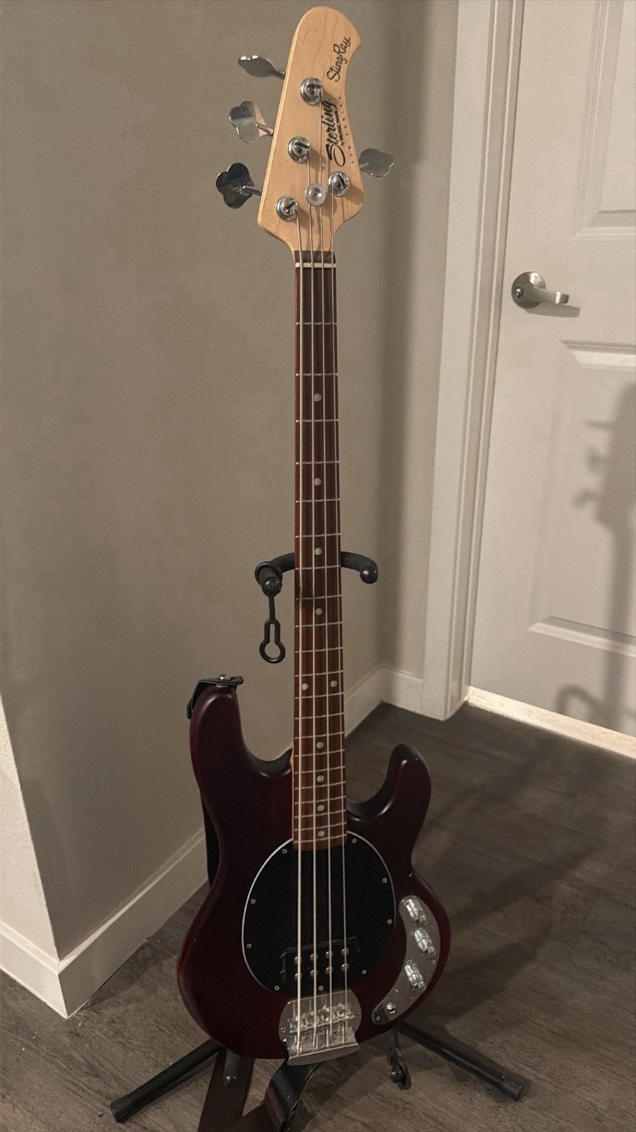 Sterling by Music Man Sting Ray 4 String Bass