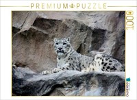 Calvendo Puzzle The Snow Leopard | 1000 Pieces, Finished Size 25.2 × 18.9 In (64