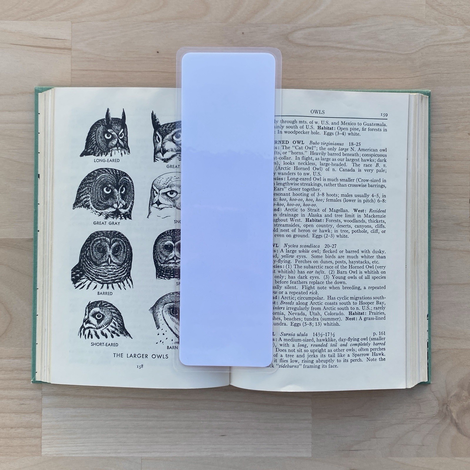 Inspiring Aesthetic Bookmark For Books, Gift for Bookworms, Laminated, Blue