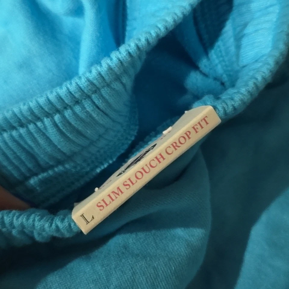 Juego de Sudadera VS PINK Nuevo con Etiquetas Grande Foto 3 de 4