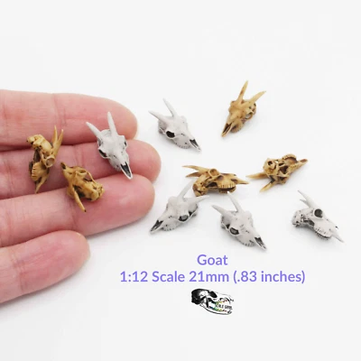 THE SCALE GRAIL Miniature Goat Skull - 1:12 Scale Dollhouse and Diorama, art supplies (5 skulls)