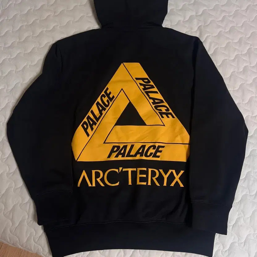 Arc'teryx Palas Hood - Men's Stylish Outdoor Hoodie thumbnail 2