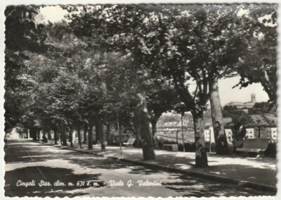 CINGOLI - MACERATA - VIALE G. VALENTINI - TRAVEL 1960 -70451-