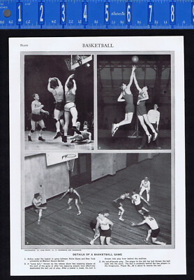 1950s Basketball & History of Basket Making - 1950s Print | eBay Australia