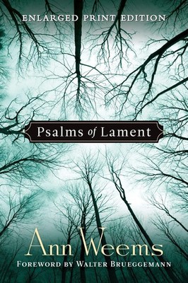 Psalms of Lament Ann Weems Taschenbuch Kartoniert / Broschiert Englisch 1999