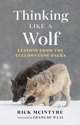 Rick McIntyre Thinking Like a Wolf (Gebundene Ausgabe)