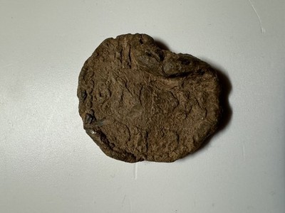 BLEIPÄPSTLICHE BULLA VON CLEMENT VIII (1424-1429) mit Belege 