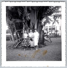 Vtg B&W Snapshot Three Women Tropical Palm Trees Summer Dresses 1950s