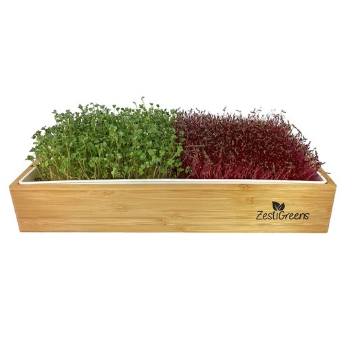 Self Watering Microgreens Growing Kit. Hands Down The Easiest Way to Grow Mic...