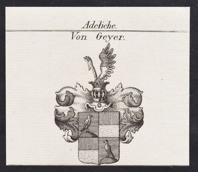 Geyer coat of arms Heraldik Genealogie Kupferstich 1820