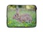 Animal-Laptop-Tablet-Sleeve-Case-Bag-CUSTOM-Personalised-Universal-Cover-14-034-15-034 thumbnail 23