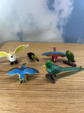 Lot Of 6 Safari Ltd Realistic Model Exotic Bird Figurines