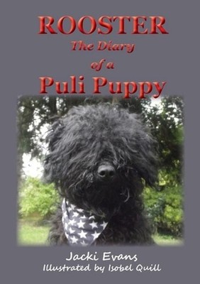 Rooster - the Diary of a Puli Puppy by Jacki Evans (English) Paperback Book