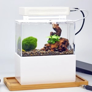 portable fish tank
