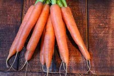 1000 Nantes Carrot Seeds for Garden Planting - USA - FREE SHIPPING 