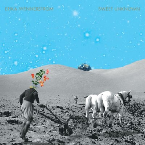 Erika Wennerstrom Sweet Unknown (CD) Album