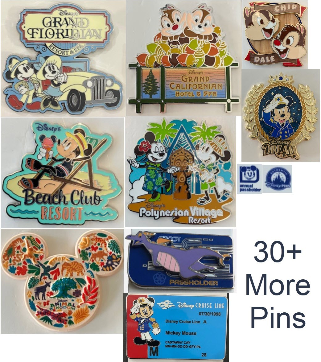 NWT New Disney Pins COLLECTIONS LE Character Theme Park Hotel