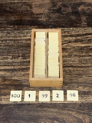 Montessori 1-100 Tiles Math Counting Teacher Homeschooling With Box