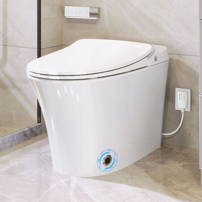 Luxury Smart Toilet w/Dryer &Warm Water,Heated Seat,Remote,Power Outage Flushing