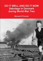 Bernard O'connor | Do It Well And Do It Now | Taschenbuch | Englisch (2013)