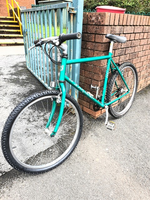 vintage bianchi mountain bike