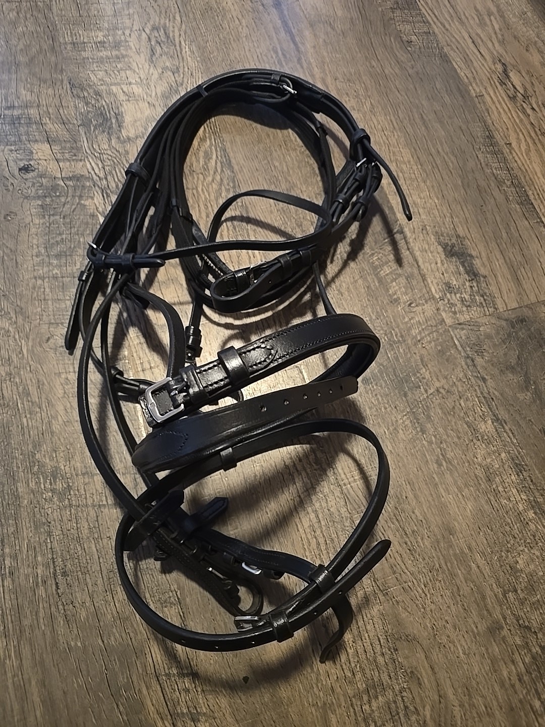 Dressage Bridle