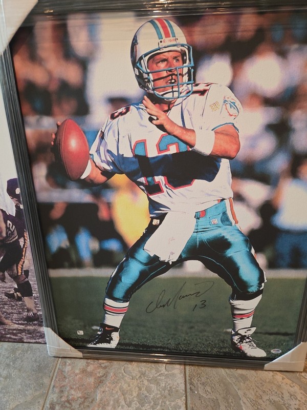 DAN MARINO SIGNED CANVAS PSA.  LARGE BEAUTIFUL SIGNED CANVAS