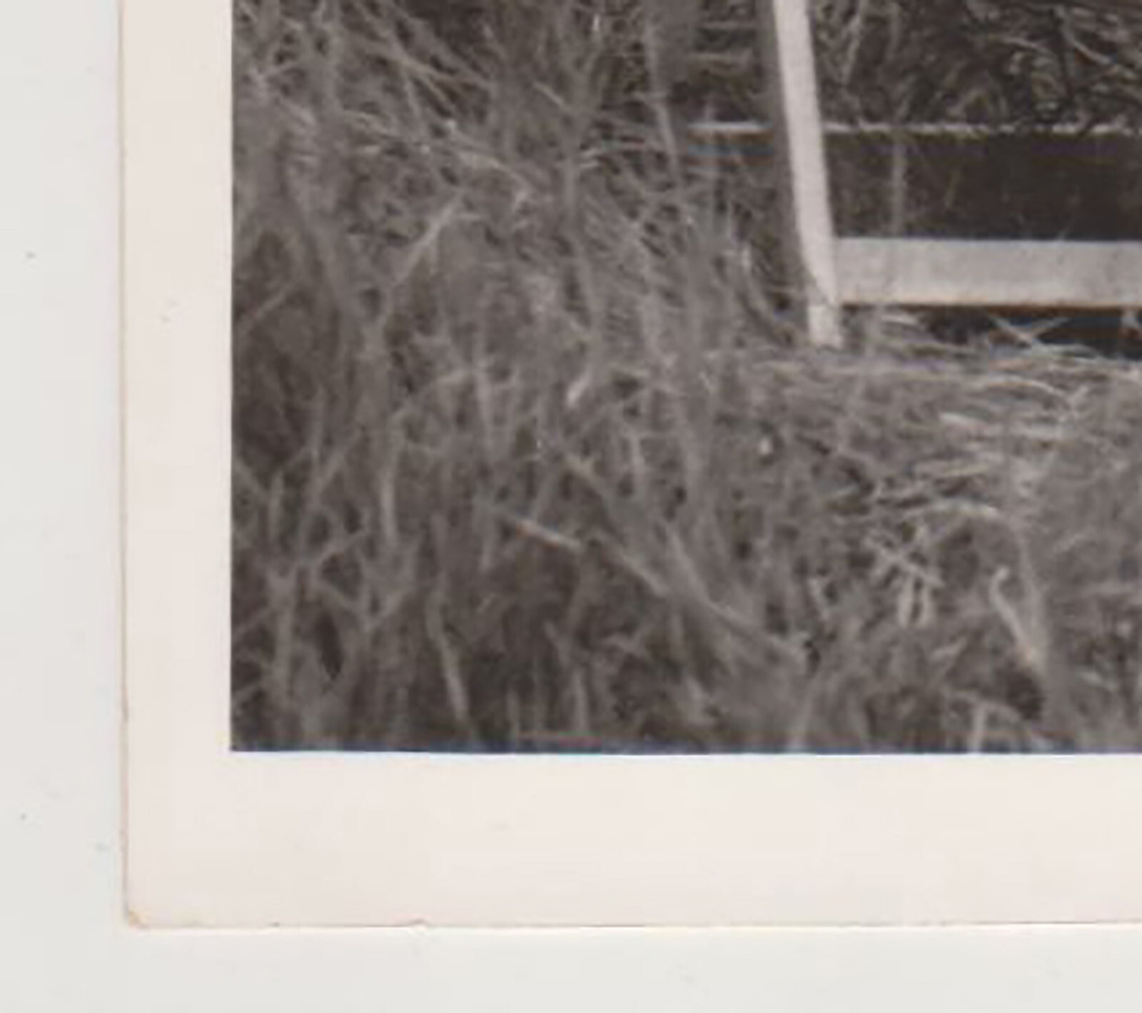 Picture 6 of 7
