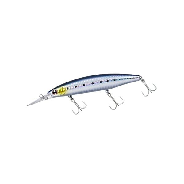 DAIWA Shoreline Shiner Z Set Upper 145S-DR Laser sardine Official Collectible