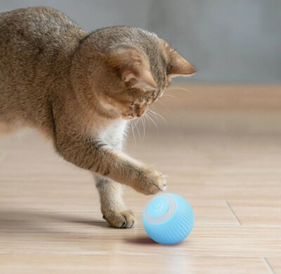 Pet Gravity Smart Rotating Ball Blue