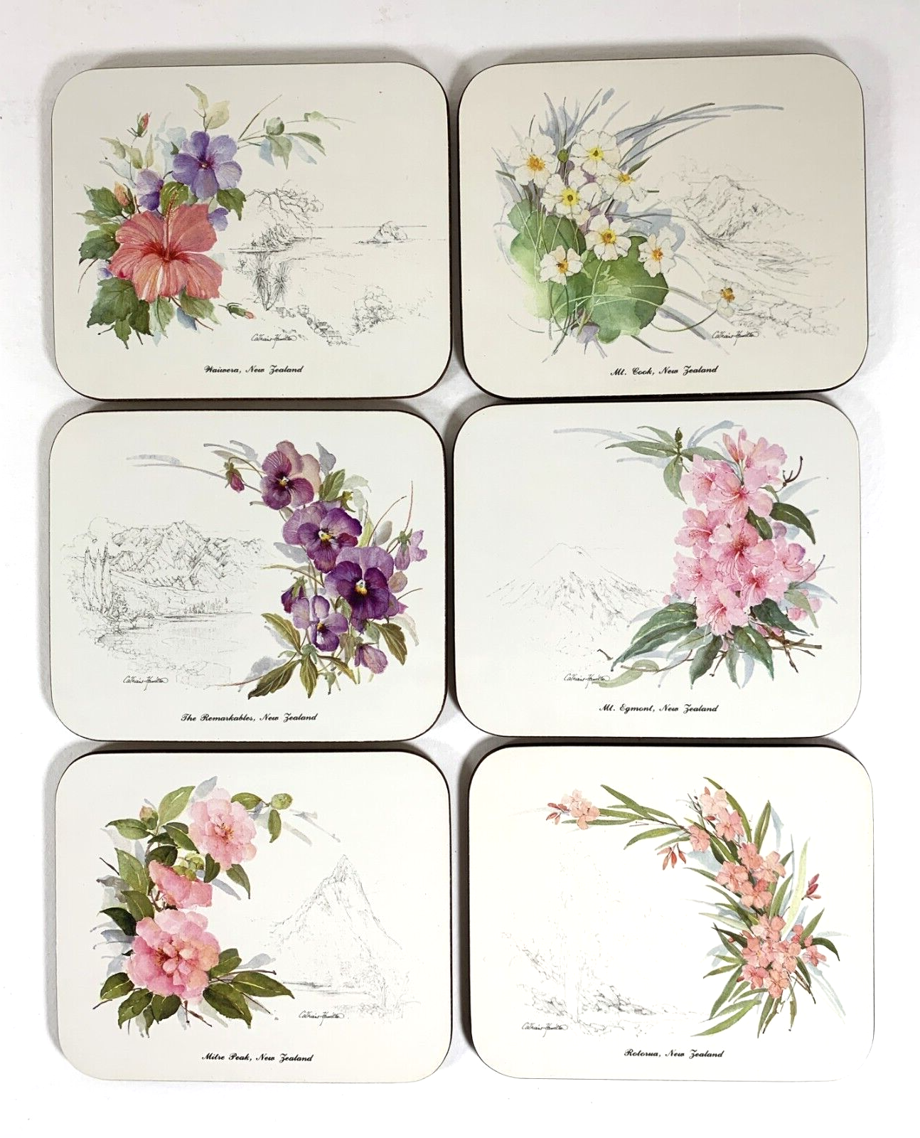 Jason Coasters Set of 6 Floral Coasters New Zealand is a Garden VGC