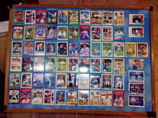 Seattle Mariners Baseball Card Lot (Griffey, Johnson, Buhner, Reynolds, Hans...)