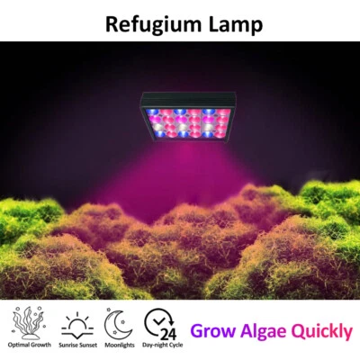 PopBloom Led Refugium Light 30W for Algae Seaweed Filter/Refuge Marine Aquarium