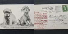 Antigua postal de perro 1913 publicidad MUIR & CO Chicago il PIROGRAPH cómic cachorros