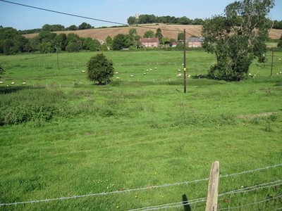 Photo 6x4 River Ems Valley by Recton Park Farm Walderton  c2017