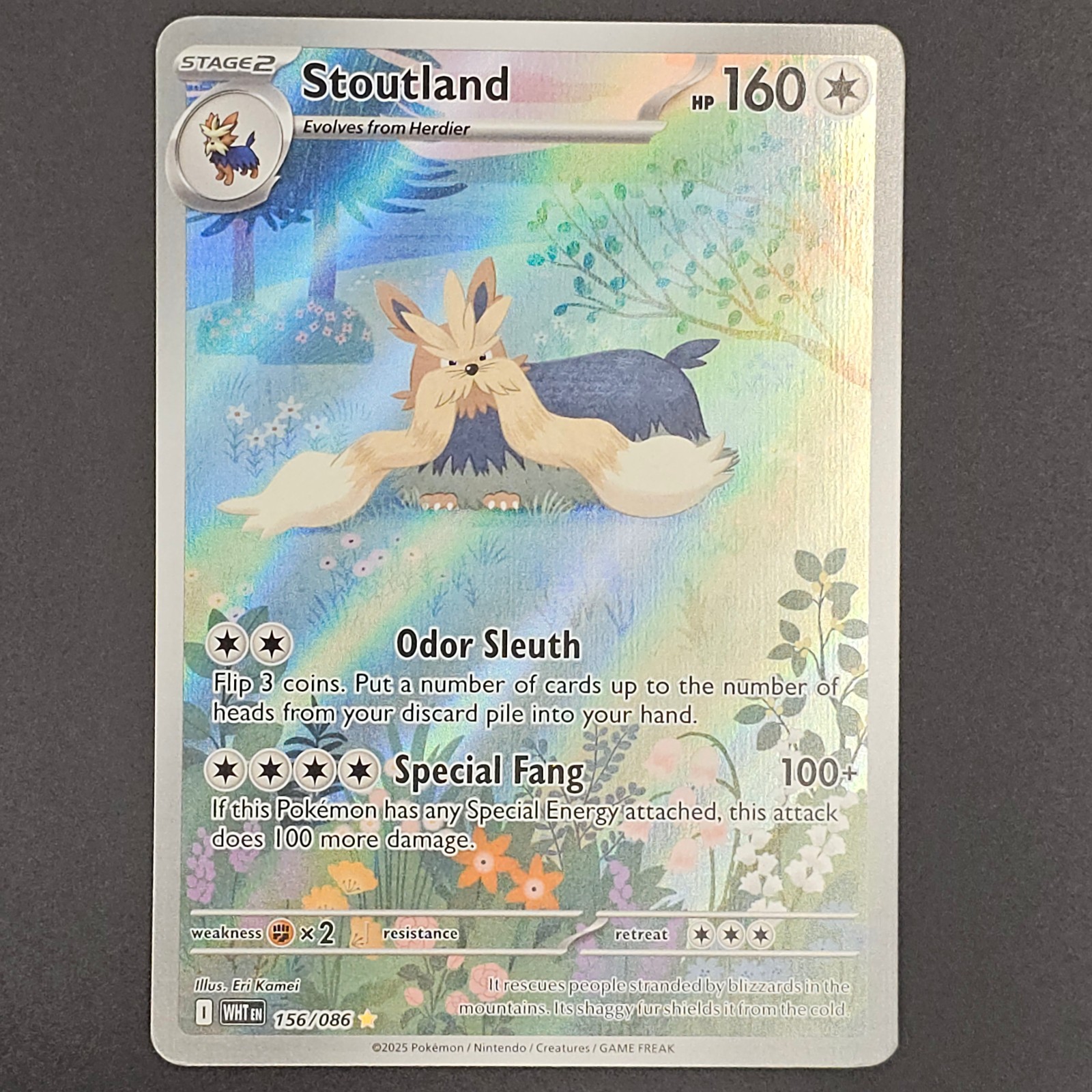 Pokémon TCG Stoutland 156/086 White Flare Illustration Rare Pokémon Near Mint
