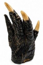 Large Real Alligator Foot Claw Taxidermy 5" Freestanding Louisiana Bayou #01