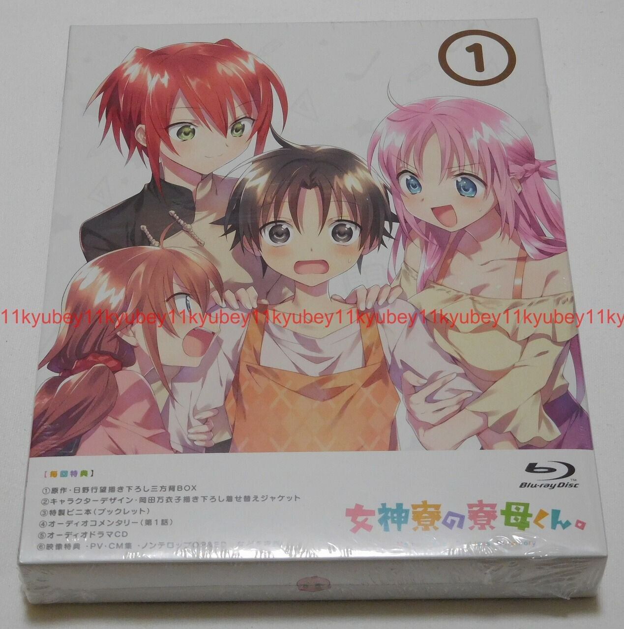 DVD Anime Mother Of The Goddess' Dormitory and 50 similar items