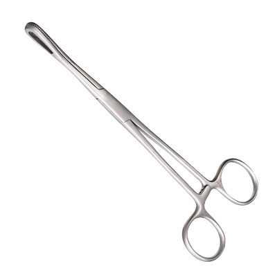 Rampley Sponge Forceps, 9.5