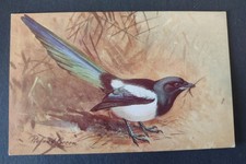 Bird Postcard, Magpie, Artist Roland Green