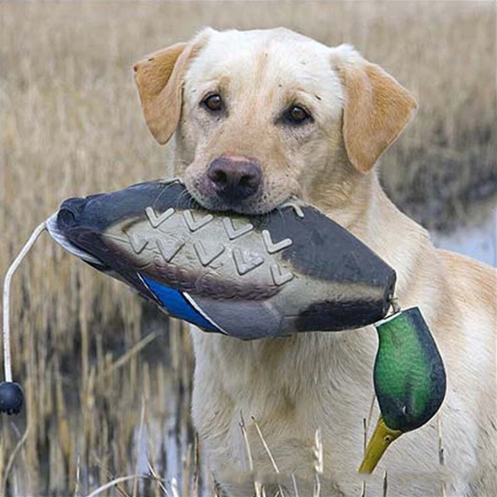 Mimics Dead Duck Bumper Toy Training Hunting Dogs Teaches Mallard