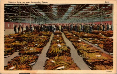 Postcard Tobacco Sale An Ever Interesting Scene 1945