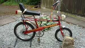 chopper bicycle shop