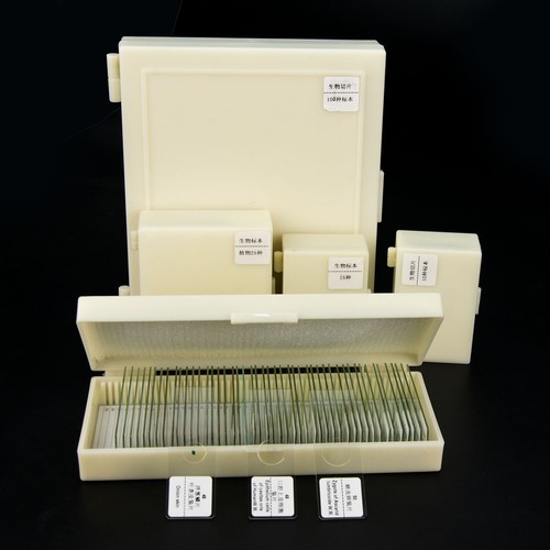 25-200pcs Glass Prepared Microscope Slides Specimen for Education w/ Box - Picture 2 of 34