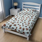 Basset Velveteen Plush Blanket