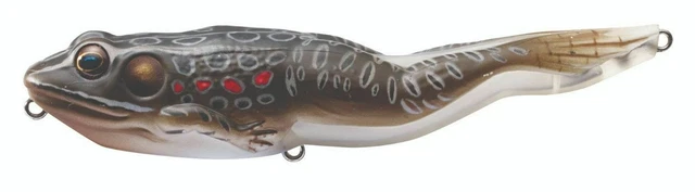 Perca LIVETARGET Cebos, señuelos de pesca en agua salada