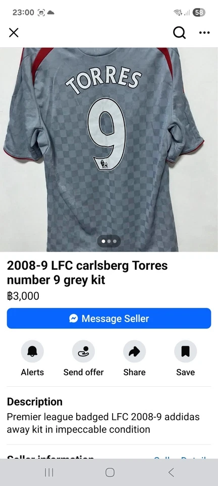 Liverpool FC 2008/09 Away Shirt Fernando TORRES 9 Small - Image 3 of 4
