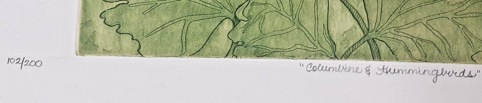 Picture 7 of 7